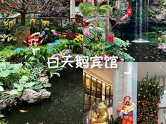 -广州白天鹅宾馆