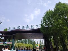 -黄海国家森林公园