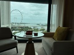 -新加坡文华东方酒店