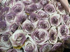 -苏格里岛自助海鲜烤肉(中州万达店)