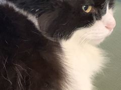 -平行世界·猫咖(首经贸店)