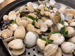 白沙白-海大大蒸汽海鲜餐厅·粤菜·特色小炒(欢乐颂店)