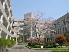iphone_upload_pic-晋元高级中学附属学校
