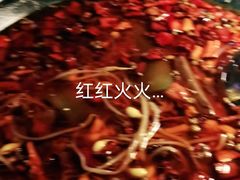 -胡桃里音乐酒馆(东区店)