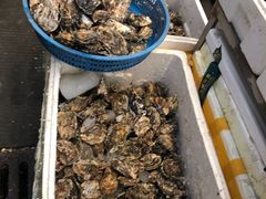 -众彩物流水产市场