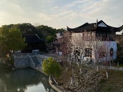 -八大山人梅湖景区