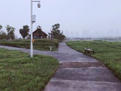 -洋湖国家湿地公园