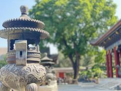 -颐和园