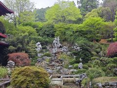 -庐山风景名胜区-东林大佛