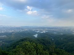 -大屏嶂森林公园