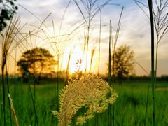 -汉长安城未央宫国家考古遗址公园