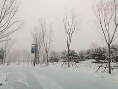 -东郊湿地公园