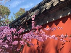 -国家植物园