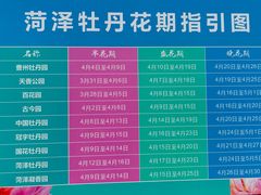 -曹州牡丹园