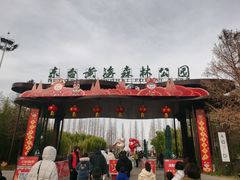 -黄海国家森林公园