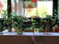 -望京一号·重庆江湖菜(工体店)