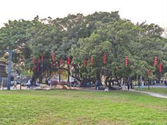 -荔湾湖公园