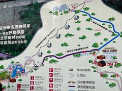 -野象谷景区