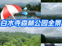 -白水寺森林公园
