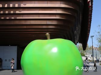 青春与挑战 安藤忠雄建筑展