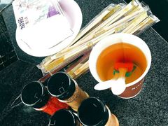 -春花秋色城市公园