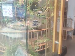 -绿茶餐厅(滨海万达广场店)