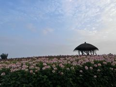 -径山花海