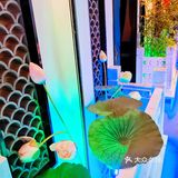 无需出帝都就能品味到江南的水乡之韵和美味江南菜