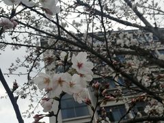 -江南大学(蠡湖校区)