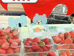 -辛庄国际文化艺术区
