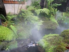 -Chom Cafe and Restaurant