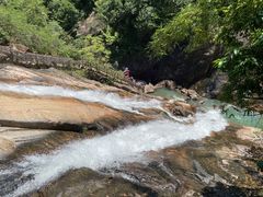 -广州白江湖森林公园