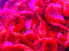 -阿甘虾餐厅(凌霄阁店)