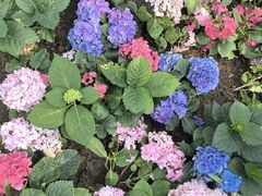 -石家庄市植物园