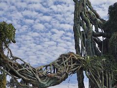 -云南野生动物园