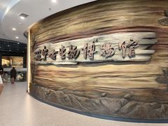 -辽宁古生物博物馆
