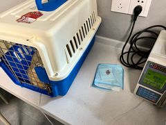 -伟伟宠物医院·CT影像中心·瑞派犬猫综合性门诊(汉口总院)