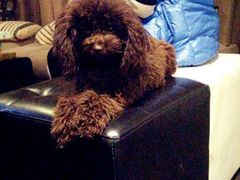 android_upload_pic-赢吧Bliss音乐酒吧