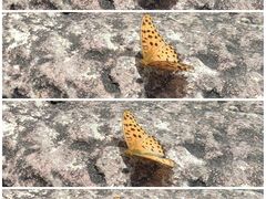 -清溪森林公园