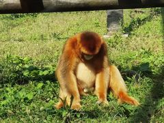 -西安秦岭野生动物园