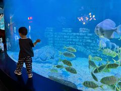 -烟台海昌鲸鲨海洋公园