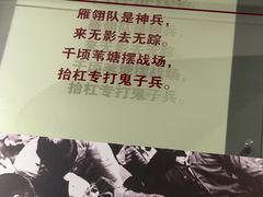 -白洋淀景区
