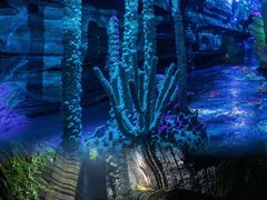 -梭布垭石林景区