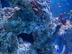-海合安武汉极地海洋公园