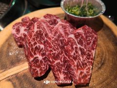 -火浪壹 by tigergrill(33小镇店)