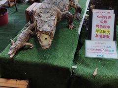 -唐人街(耀华力路)