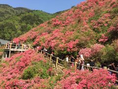 -木兰云雾山