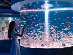 -海合安成都极地海洋公园