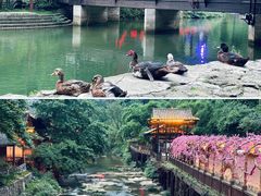 -车溪民俗旅游区