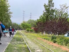 -永定河休闲森林公园